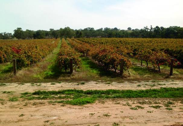 SPW230416BROCKENCHACK5