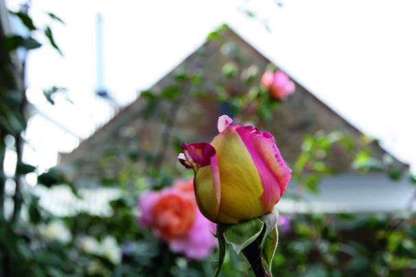 SPW230416BROCKENCHACK7a