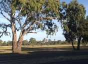 Adelaide skyline from Fullarton Rd, Dulwich.