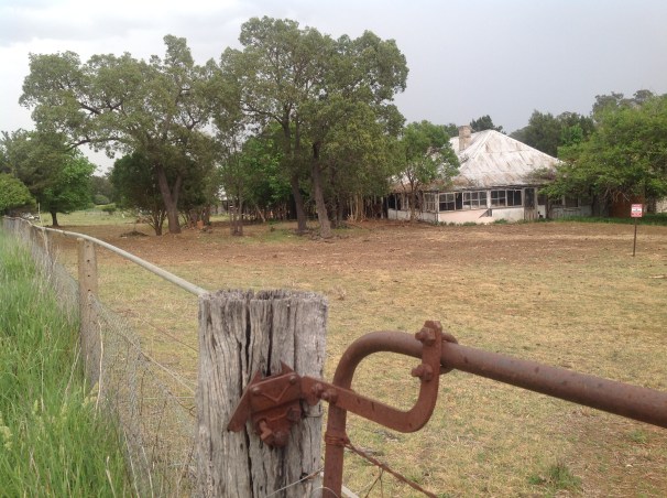 Along the road near Manildra, NSWPhoto Erle Levey / Sunshine Coast Daily