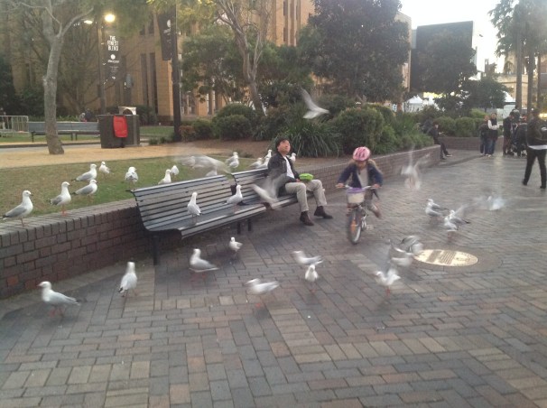 Evening at Circular Quay, Sydney. Photo Erle Levey / Sunshine Coast Daily
