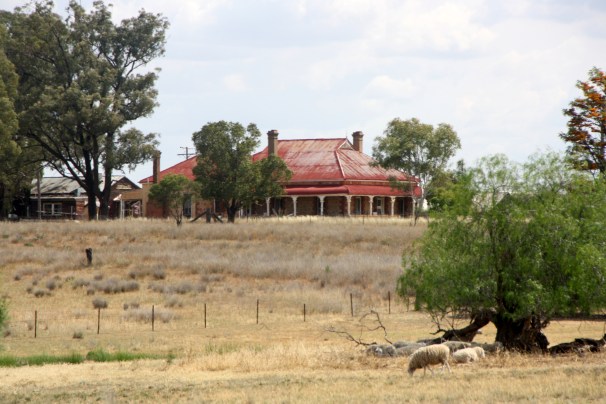 Along the Newell Highway, near Gilgandra, NSW Photo: Erle Levey