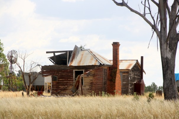 Biddon, north of Gilgandra, NSW Photo: Erle Levey