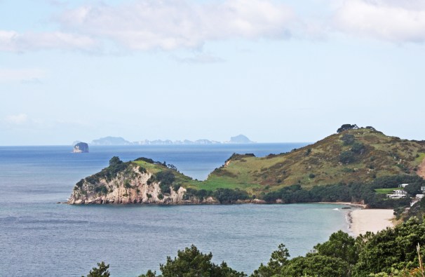 COROMANDEL_9346