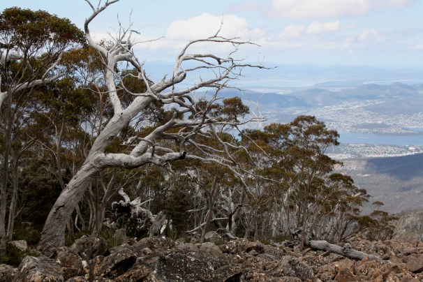 mt wellington_2323