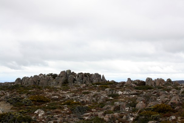 mt wellington_2328