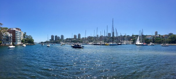 RUSHCUTTERS BAY_7381