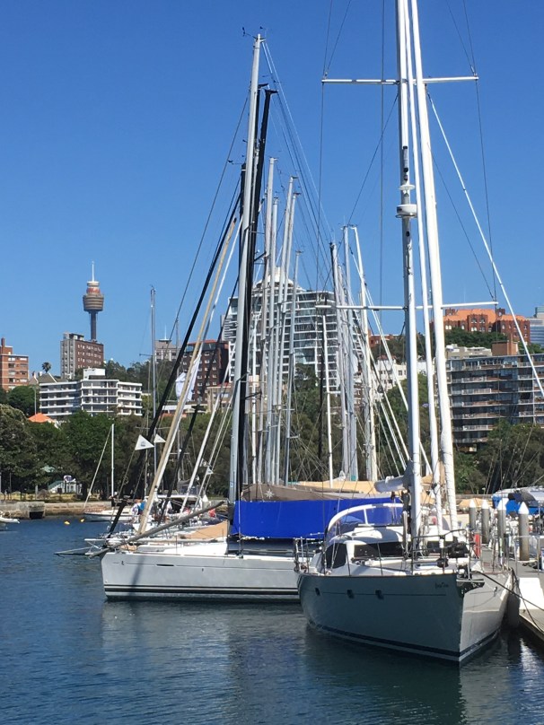 RUSHCUTTERS BAY_7384
