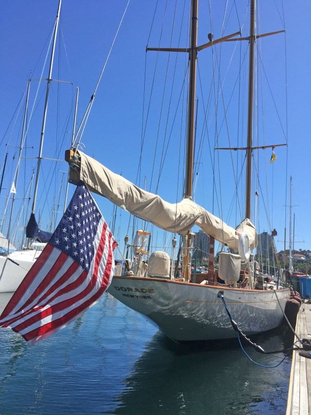 RUSHCUTTERS BAY_7392