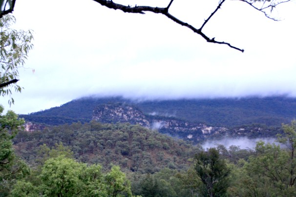 CARNARVON GORGE_0617