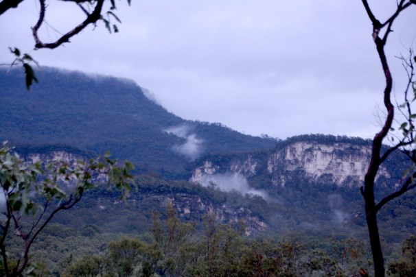 CARNARVON GORGE_0626