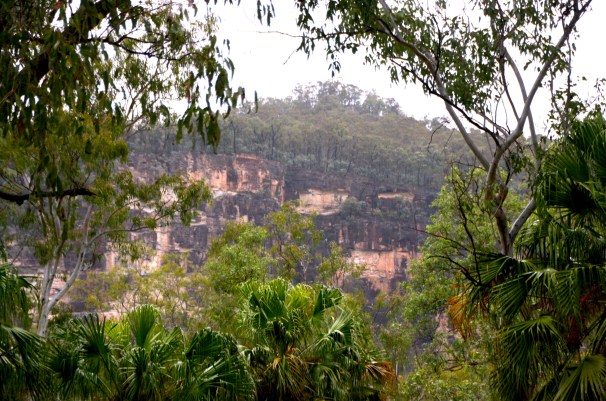 CARNARVON GORGE_0638