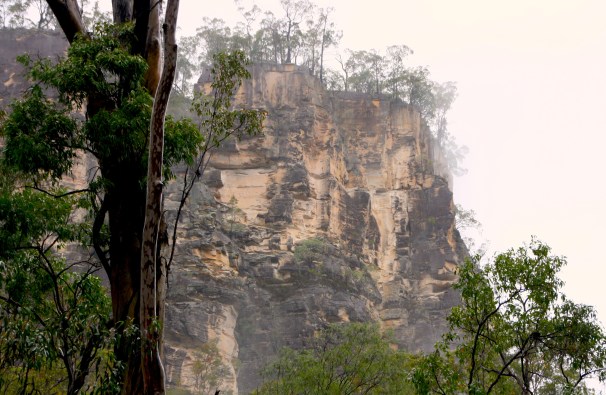 CARNARVON GORGE_0662
