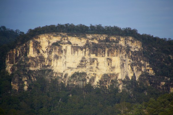 CARNARVON GORGE_0824