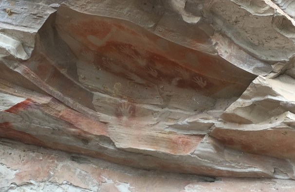 CARNARVON GORGE_5731