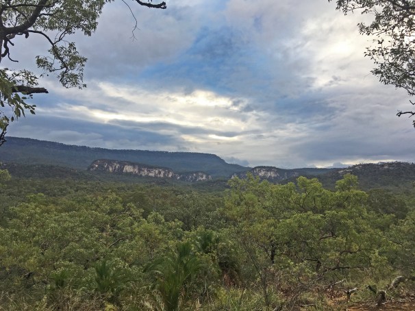 CARNARVON GORGE_5803