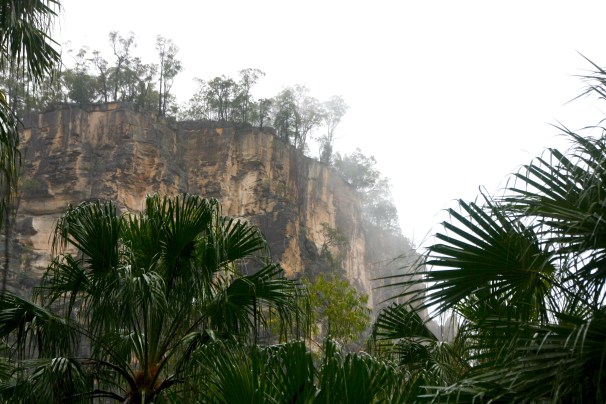CARNARVON GORGE_0676