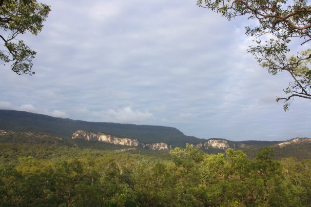 CARNARVON GORGE_0821