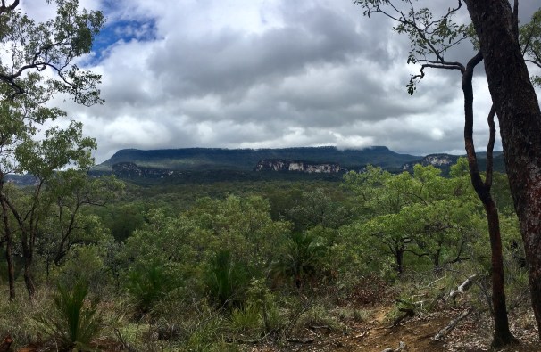 CARNARVON GORGE_5777