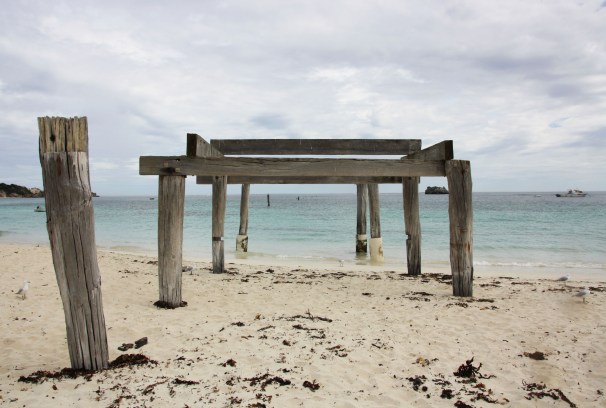 HAMELIN BAY_4113