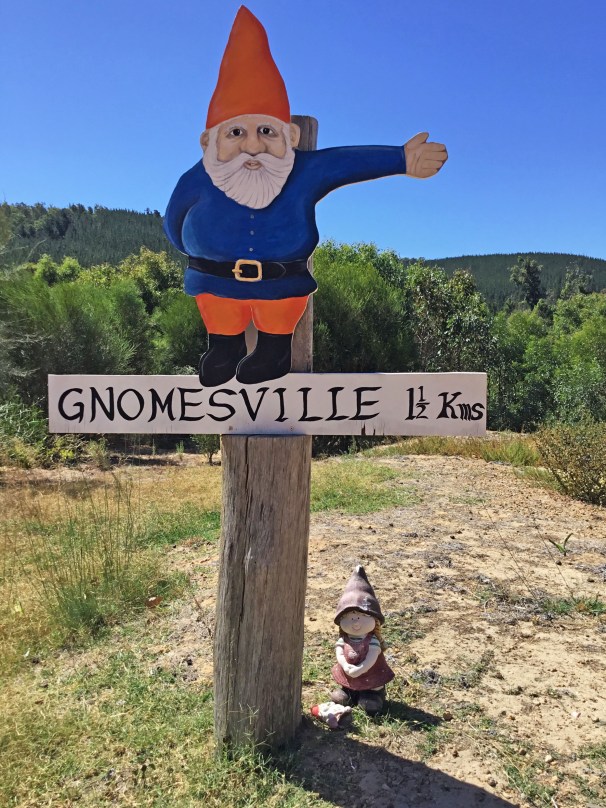 GNOMESVILLE_2343