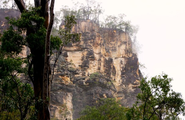 CARNARVON GORGE_0662