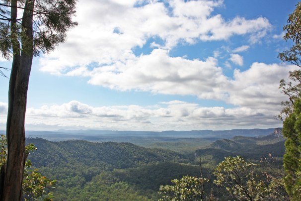 CARNARVON GORGE_1233
