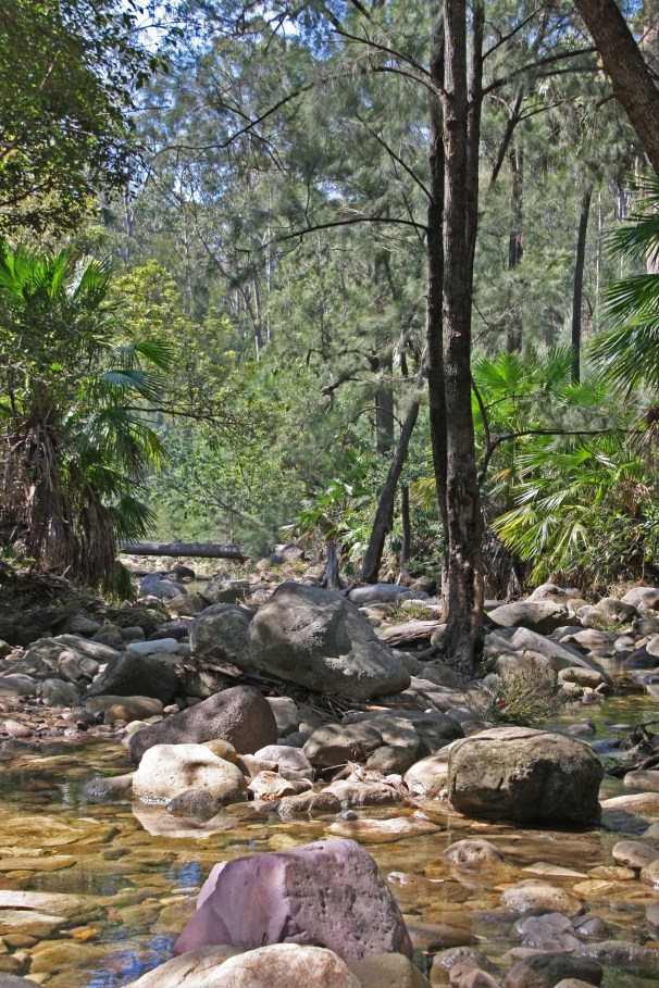 CARNARVON GORGE_1243