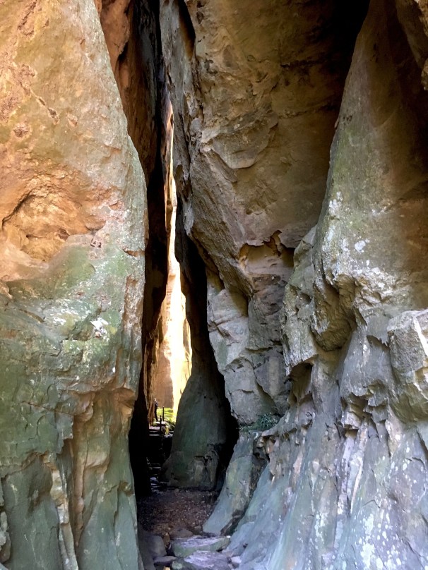 CARNARVON GORGE_6156