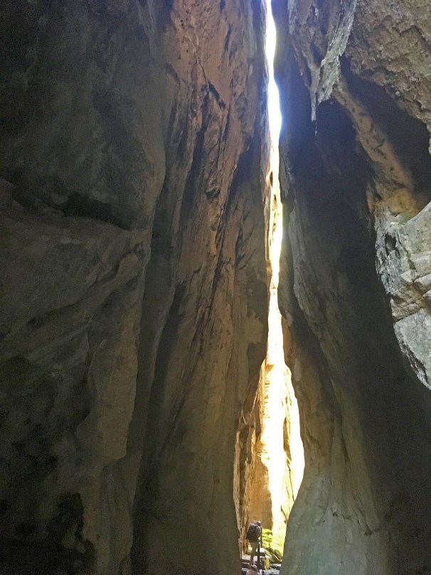 CARNARVON GORGE_6162