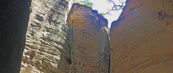 CARNARVON GORGE_6168