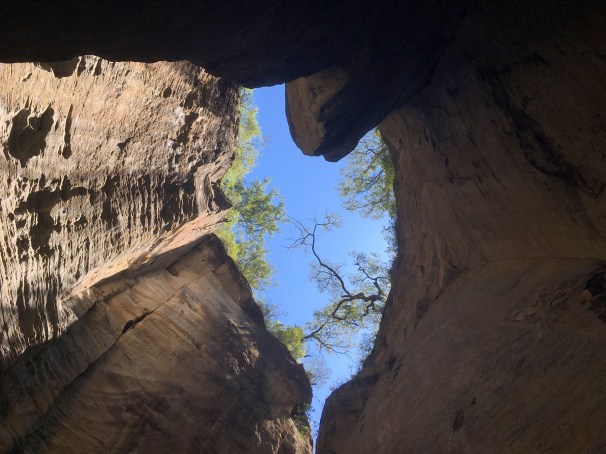 CARNARVON GORGE_6170