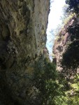 CARNARVON GORGE_6185