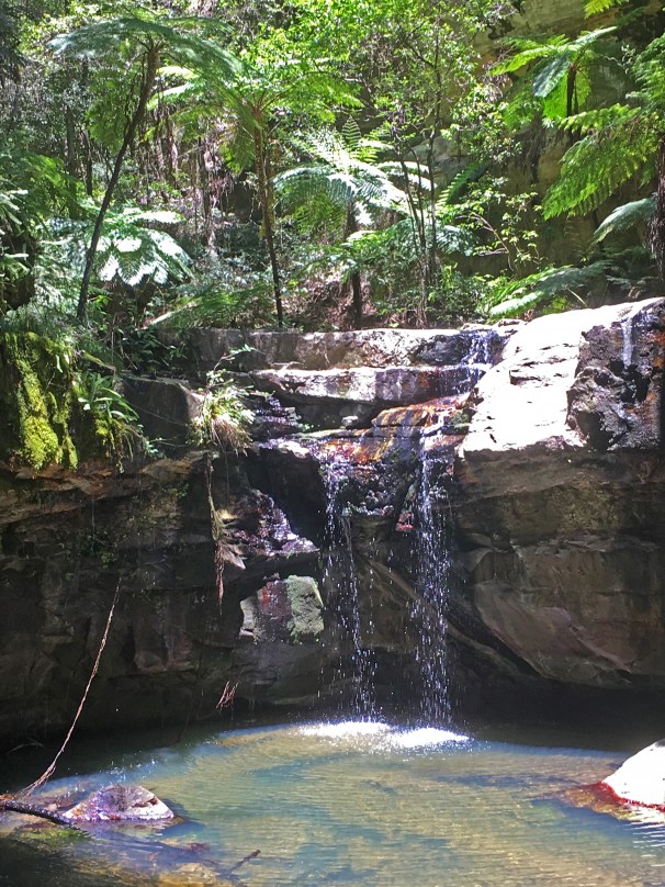 CARNARVON GORGE_6188