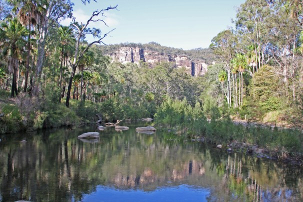 CARNARVON GORGE__1206