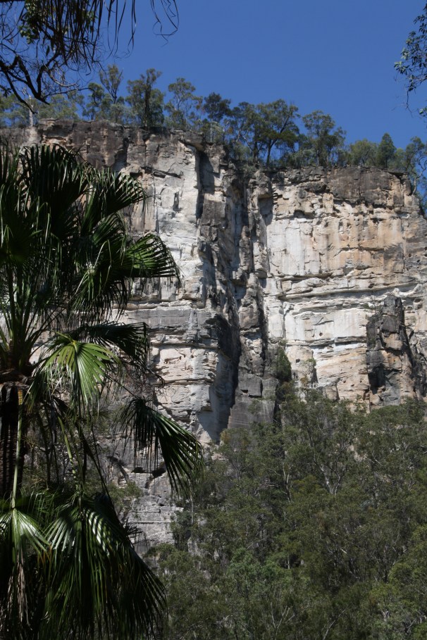 CARNARVON GORGE__1251