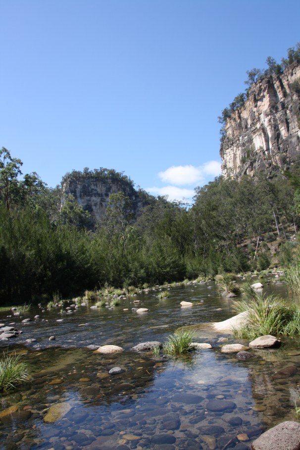 CARNARVON GORGE__1253