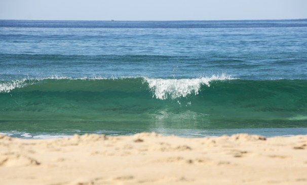 SCN160618SUNRISE_5274