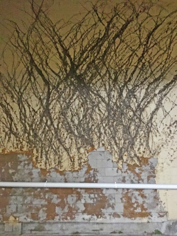 SCN190518CALOUNDRA_0240