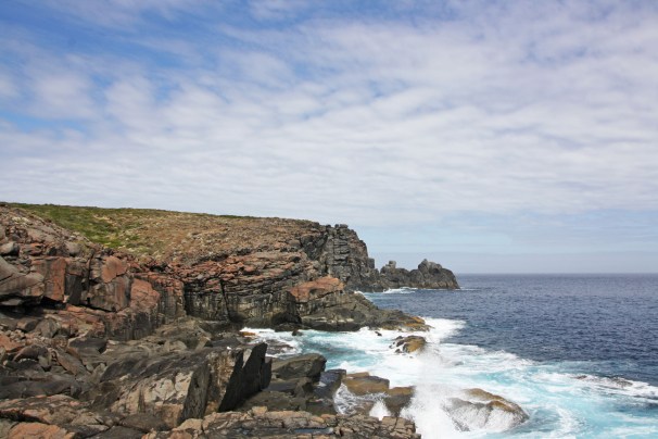 WEST CAPE HOWE_4180