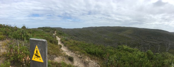 WEST CAPE HOWE_9207