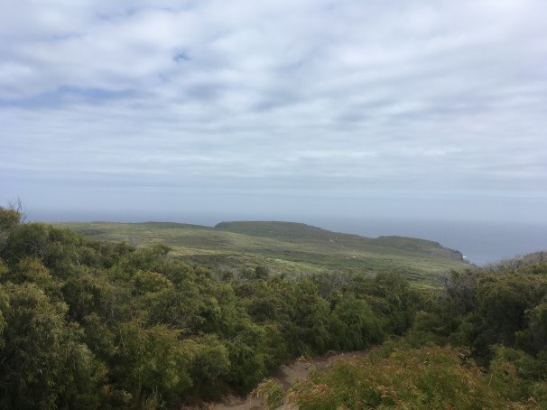 WEST CAPE HOWE_9215