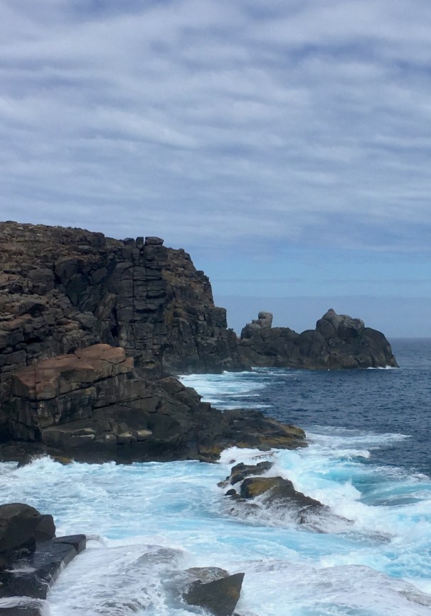 WEST CAPE HOWE_E9225cropped