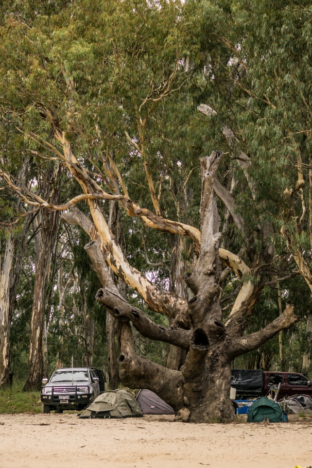 visitnsw-deni-robmulally-dsc04543