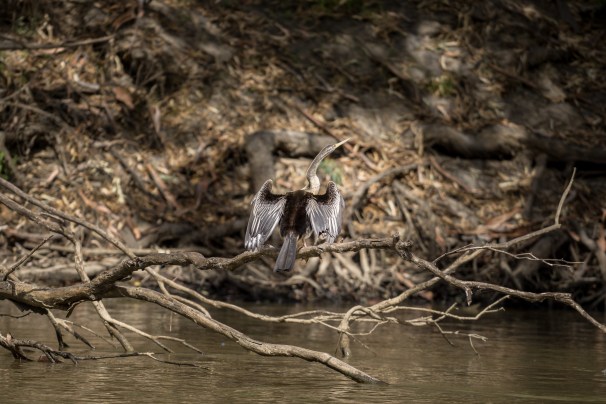 visitnsw-deni-robmulally-dsc04544